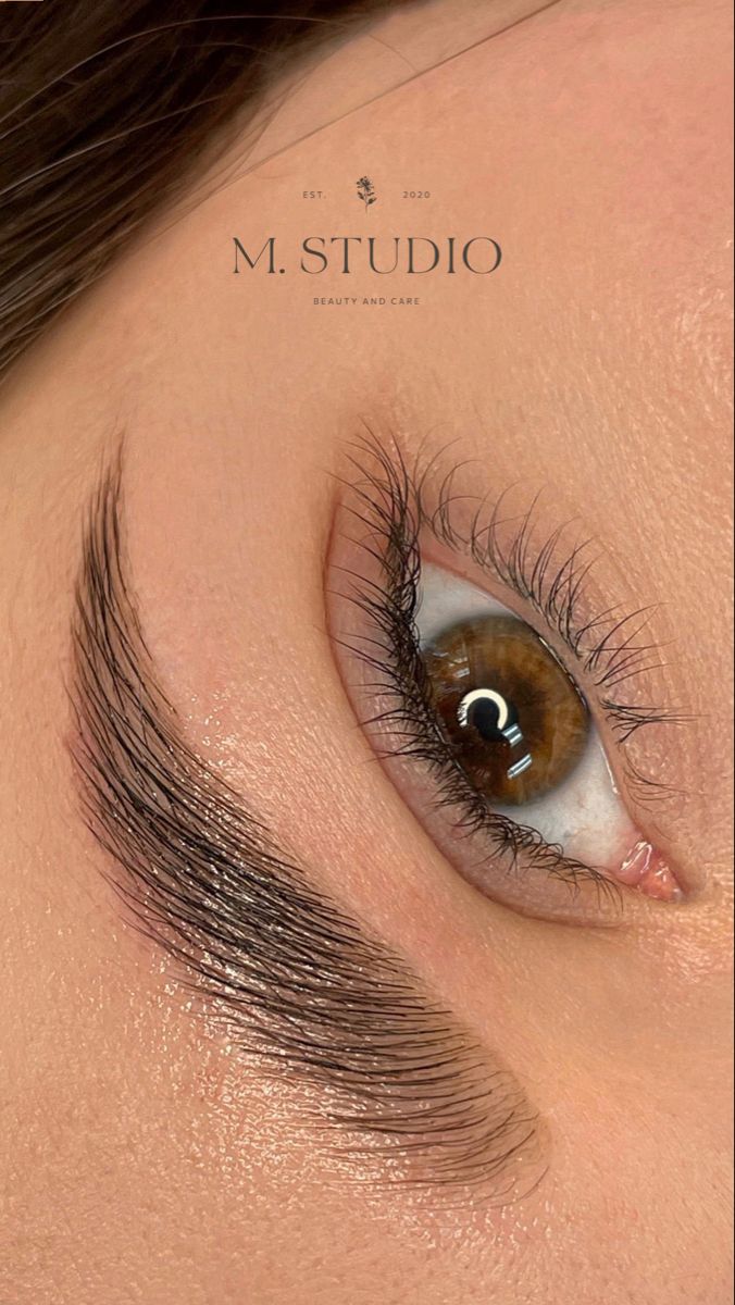 Eyebrow lamination result NYC