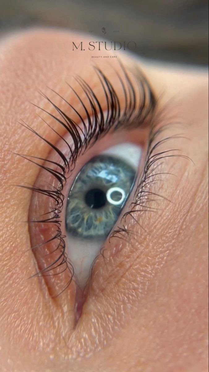 Lash tint and lift M. STUDIO